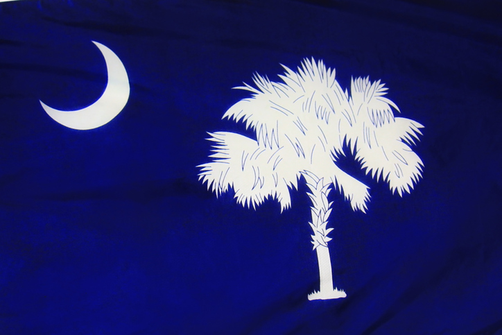 South Carolina state flag