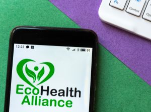 In this photo illustration an EcoHealth Alliance logo seen...
