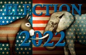 Election 2022 Donkey and Elephant