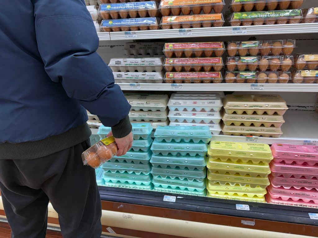 Customer selecting a dozen eggs in refrigerated aisle at grocery store, Queens, New York