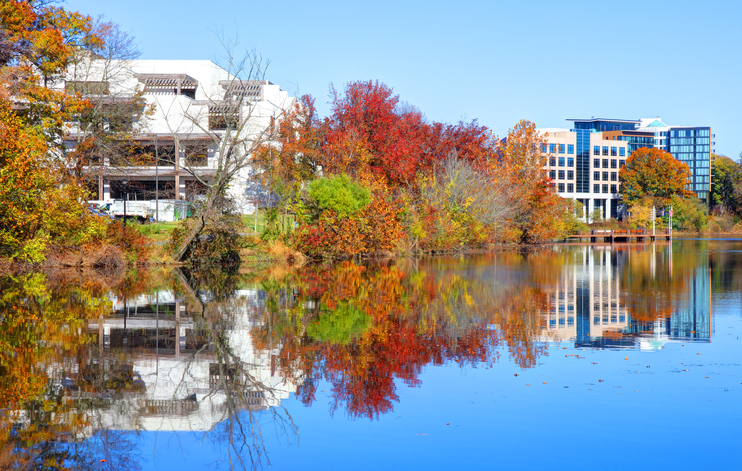 Autumn in Columbia, Maryland