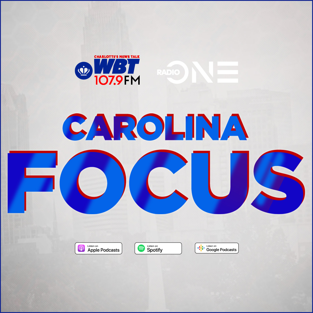 2025/ Alfred - Carolina Focus
