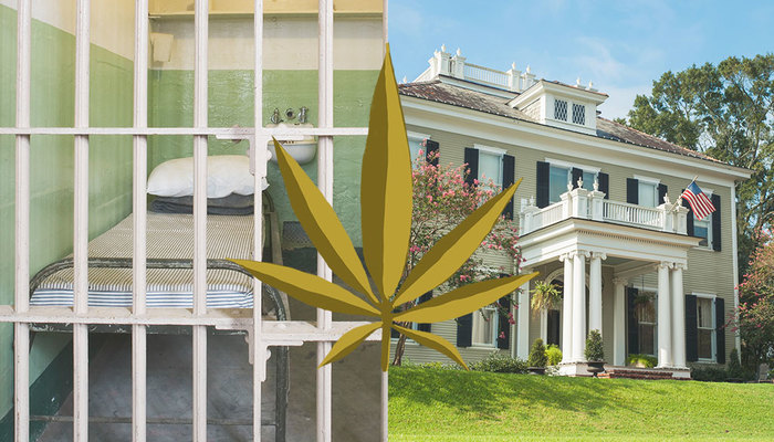 A large yellow marijuana leaf sculpture in the foreground, with a historic mansion and American flag visible in the background.