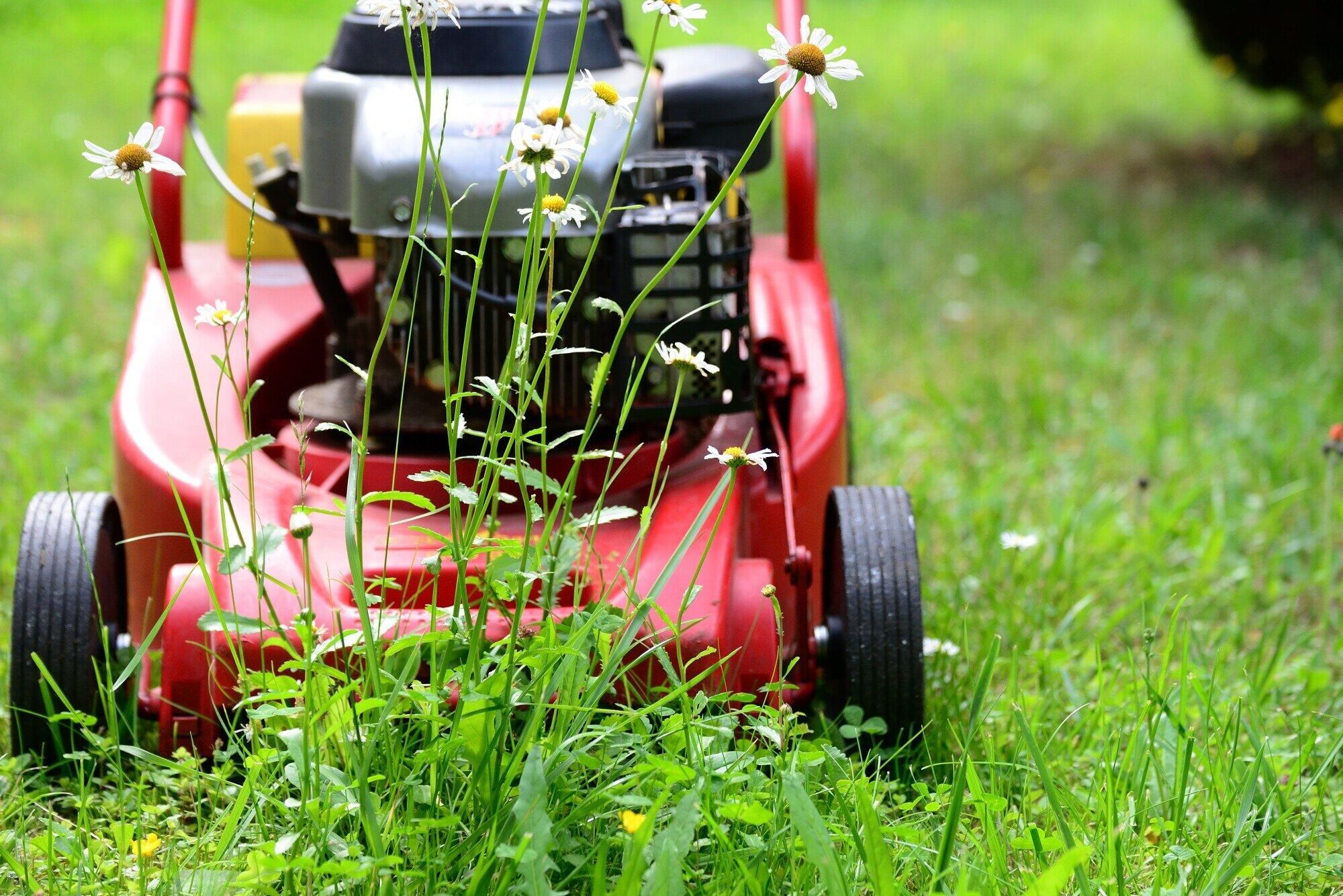 Lawn care mistakes that can make a nice yard look neglected